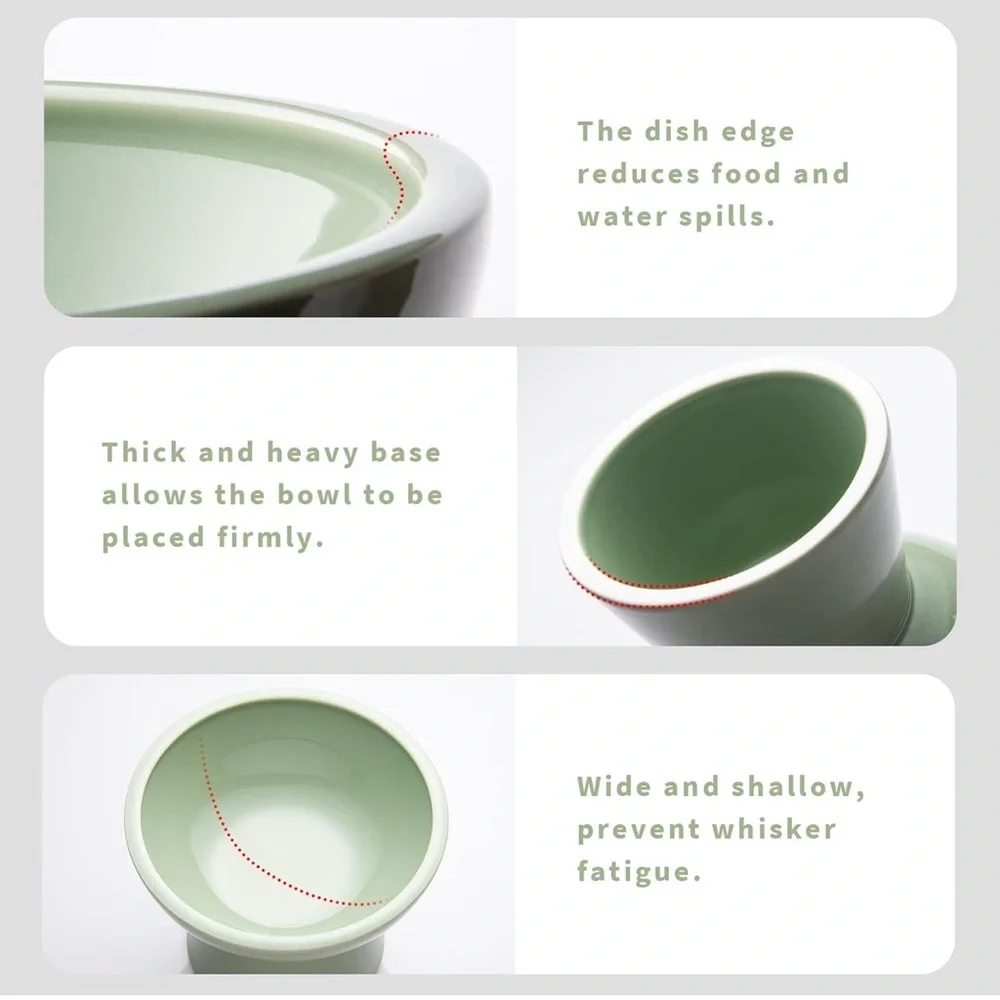 Elevated Green Pet Bowl